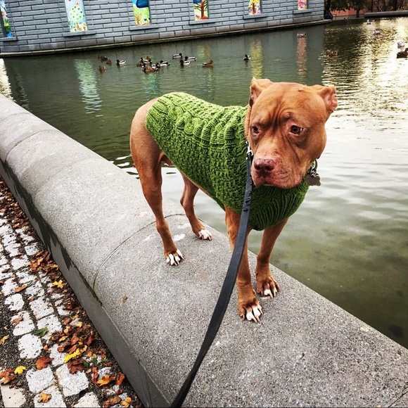 Meet your Posher, Cynthia - Picture 7 of 10